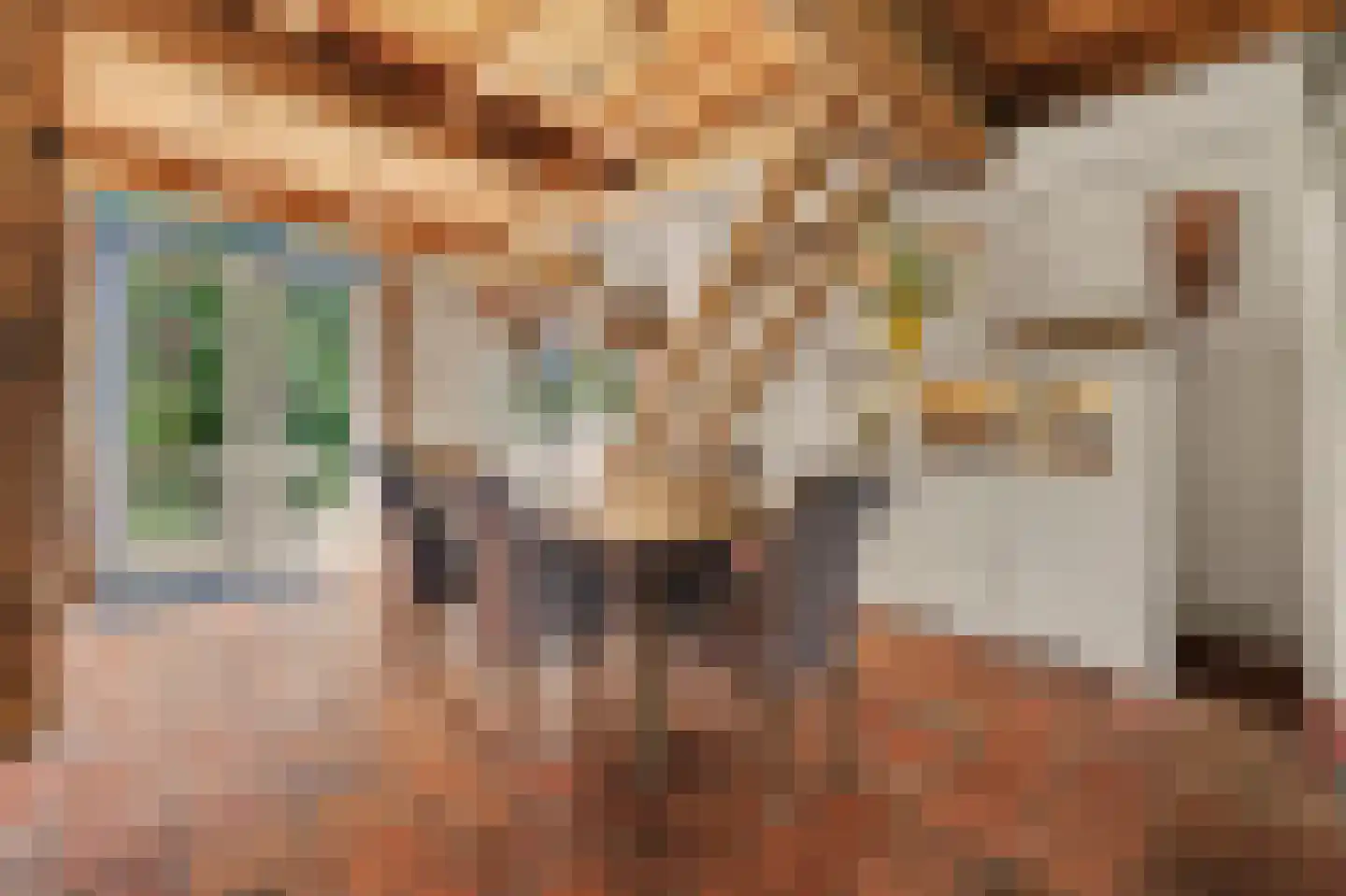 Heinis 12 's-Hertogenbosch thumbnail 6