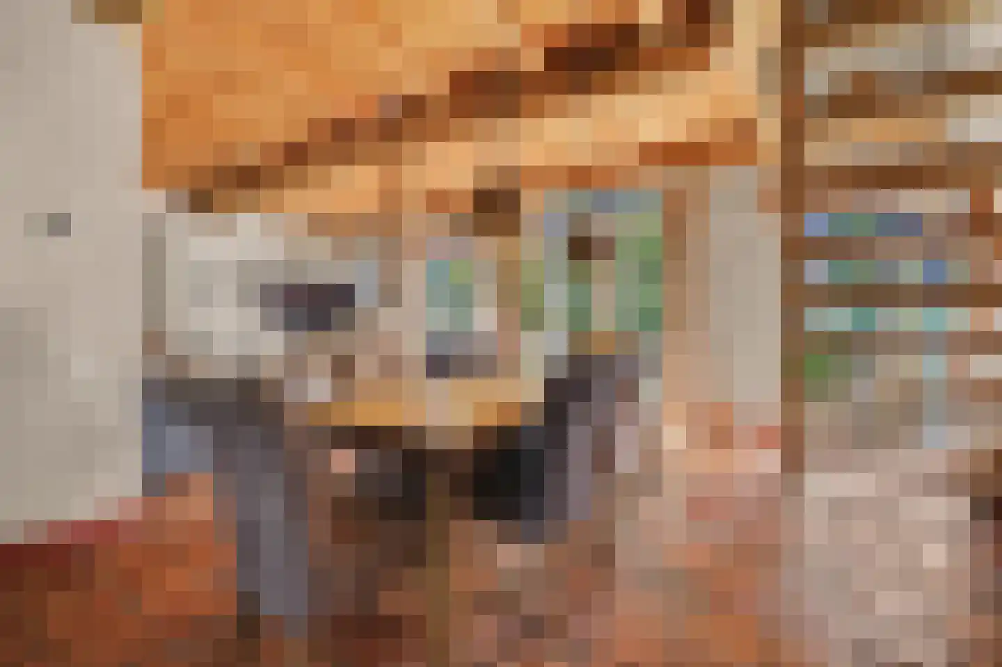Heinis 12 's-Hertogenbosch thumbnail 7