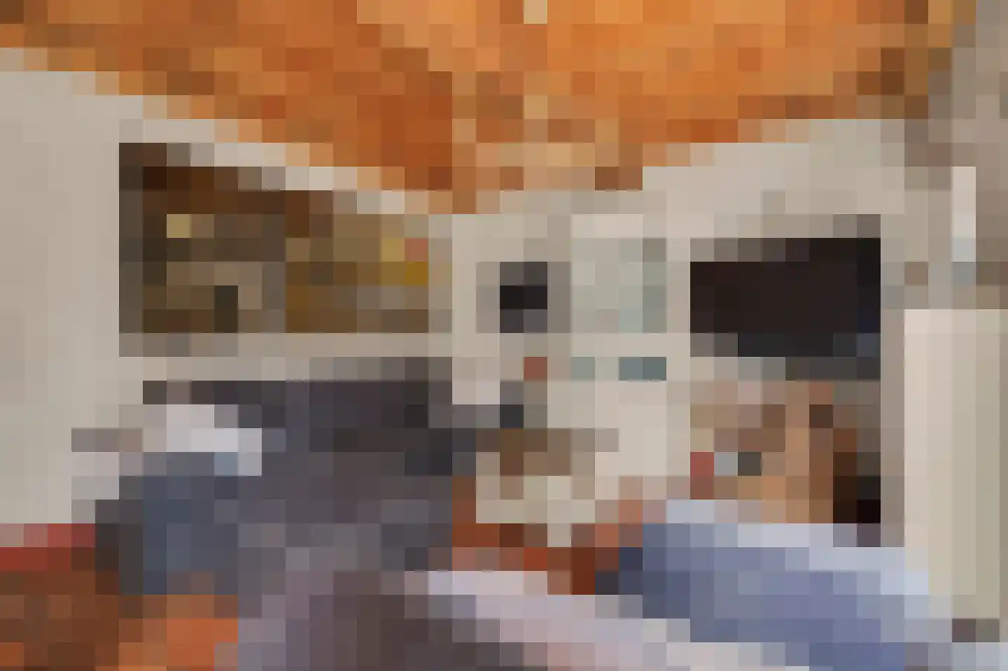 Heinis 12 's-Hertogenbosch thumbnail 8