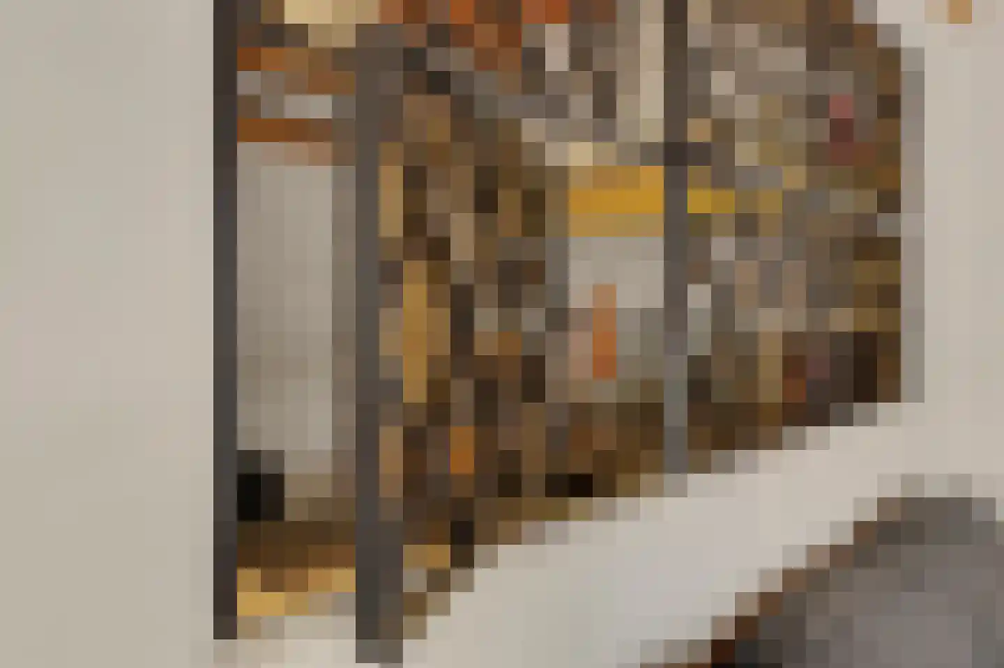 Heinis 12 's-Hertogenbosch thumbnail 9