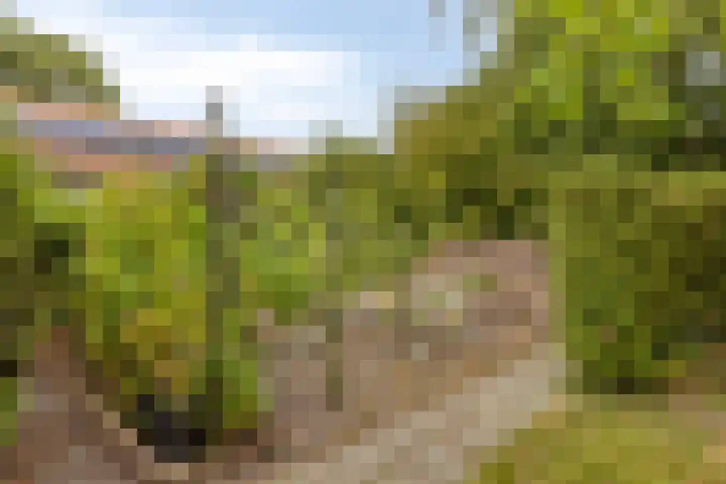Heinkenszandseweg 45 Heinkenszand thumbnail 32