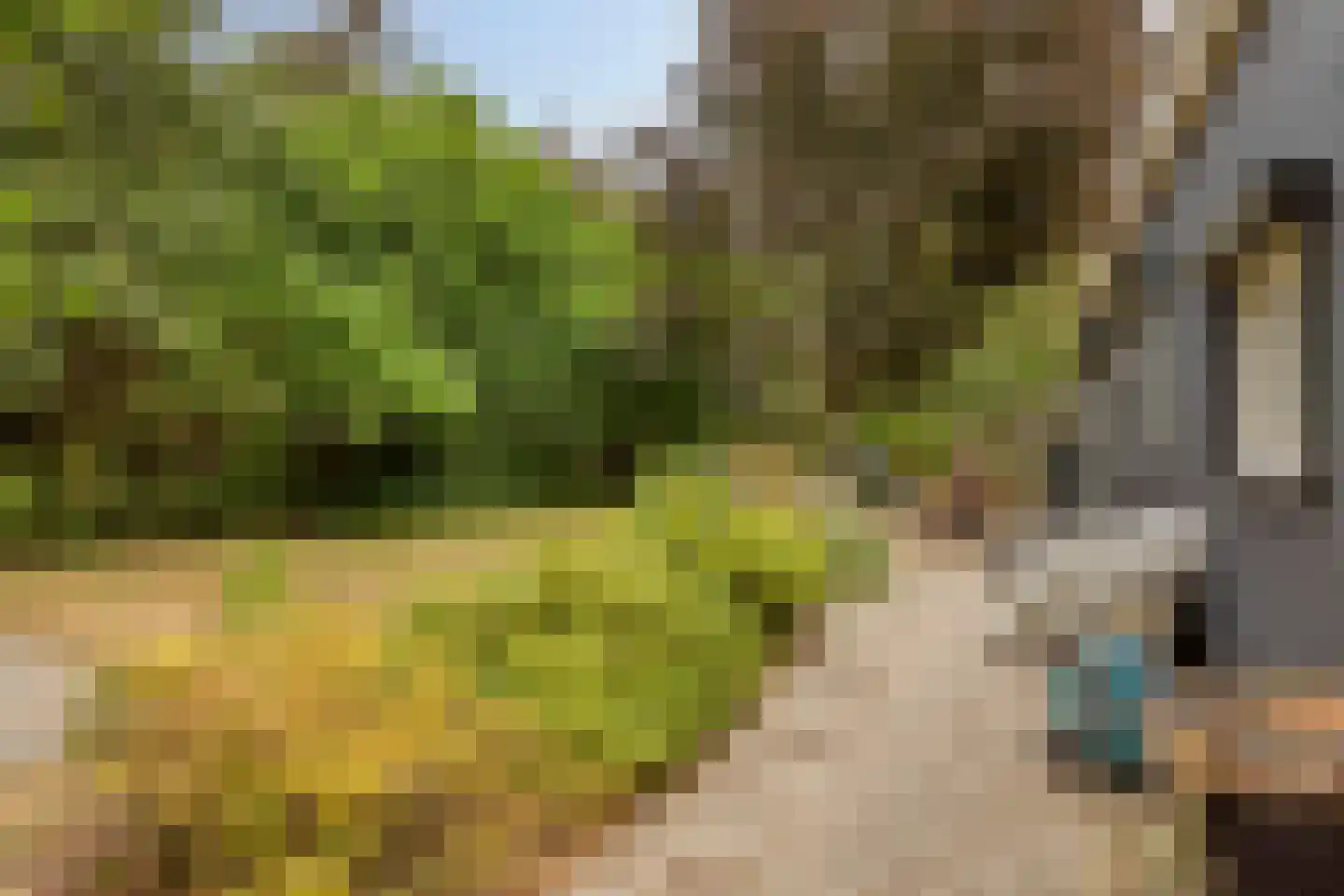 Heinkenszandseweg 45 Heinkenszand thumbnail 33