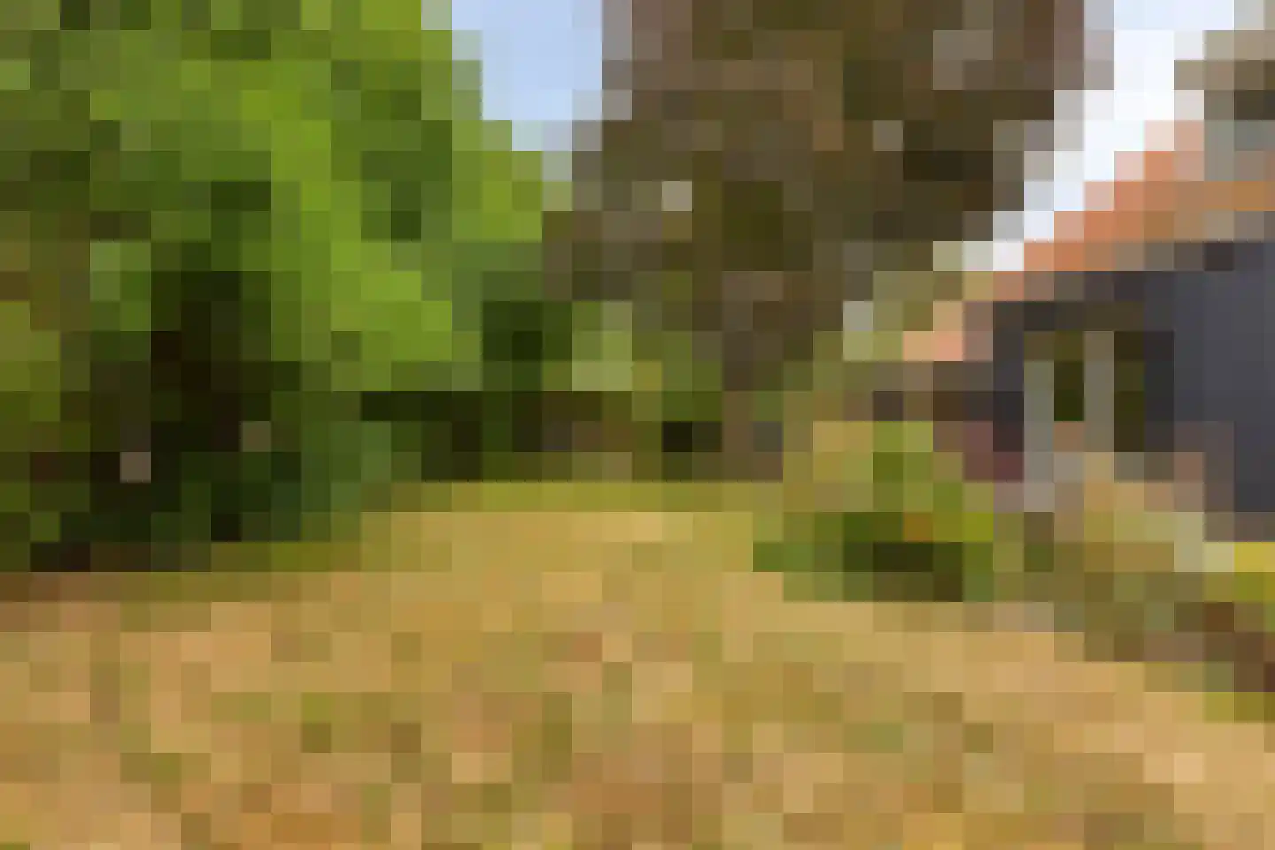 Heinkenszandseweg 45 Heinkenszand thumbnail 34