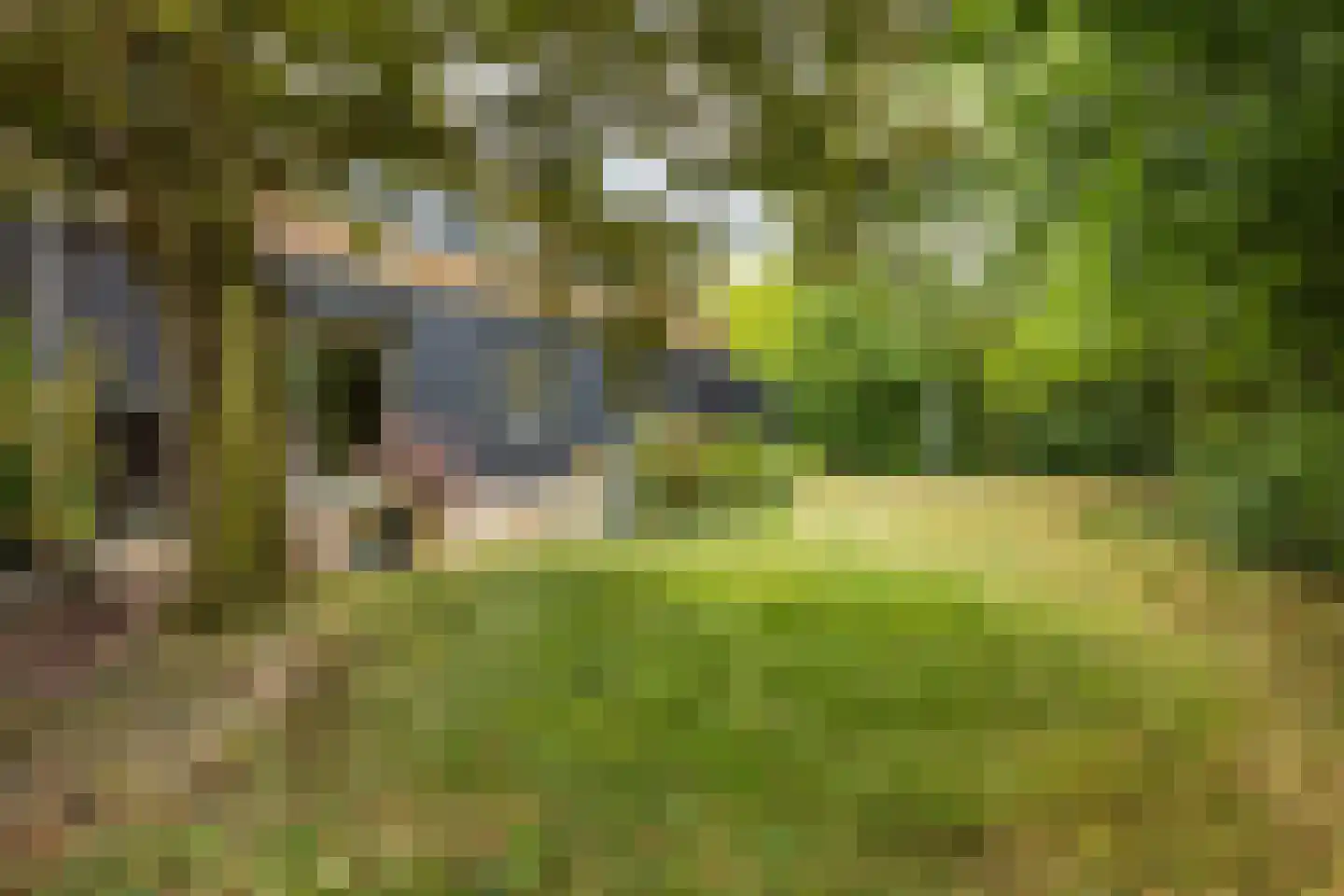 Heinkenszandseweg 45 Heinkenszand thumbnail 35