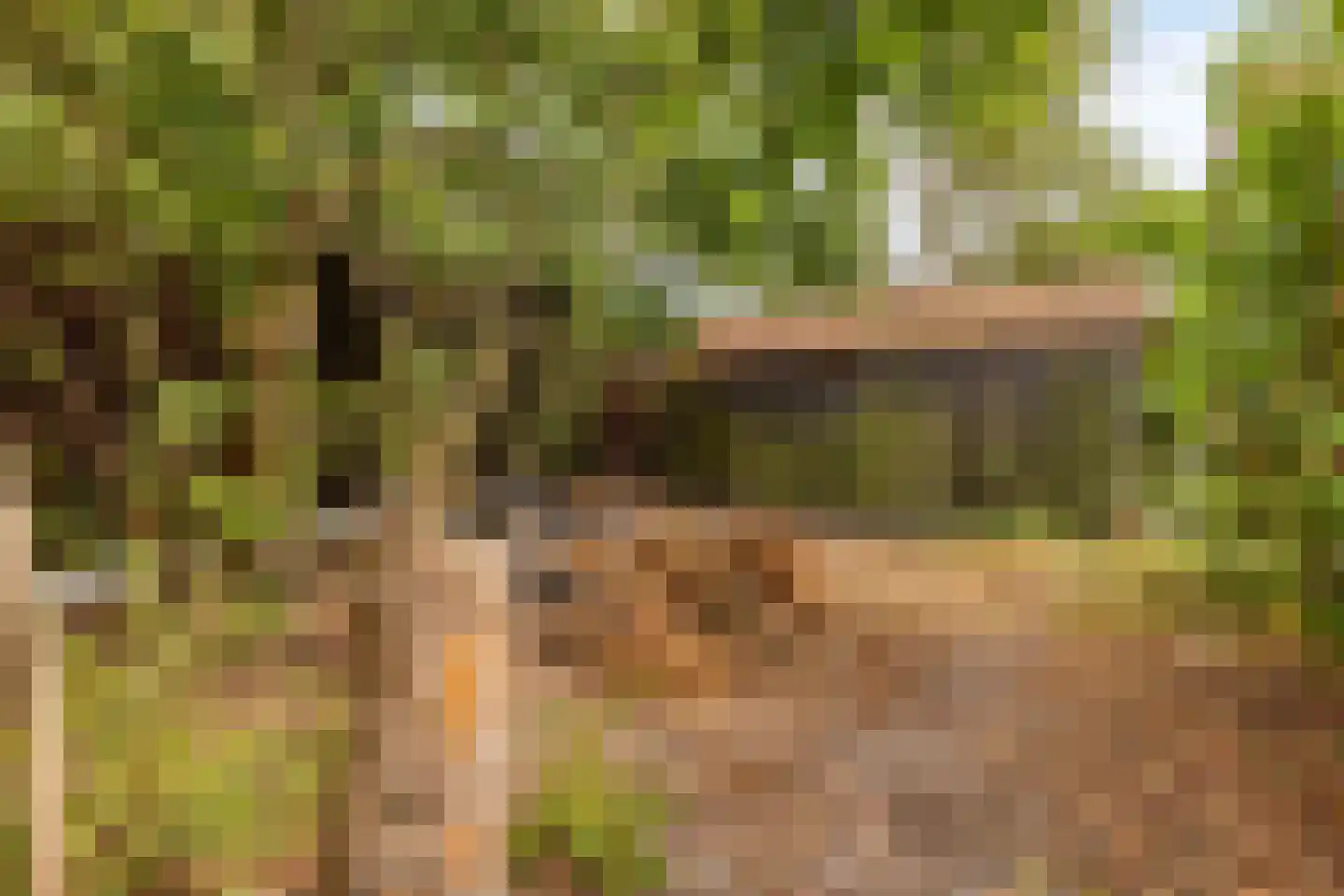 Heinkenszandseweg 45 Heinkenszand thumbnail 36