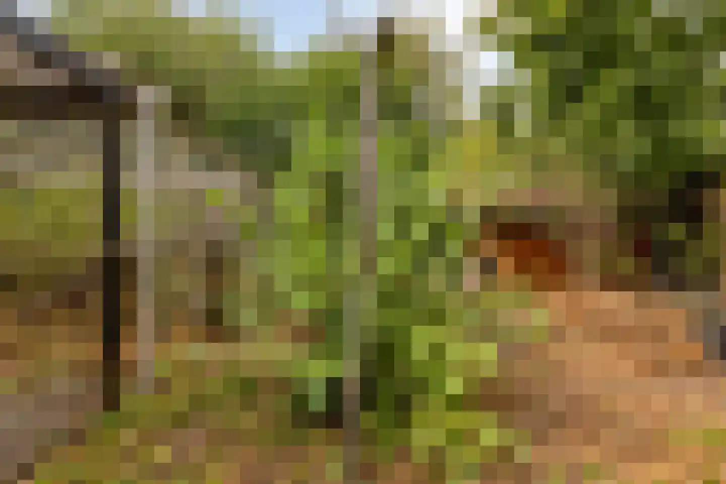 Heinkenszandseweg 45 Heinkenszand thumbnail 37