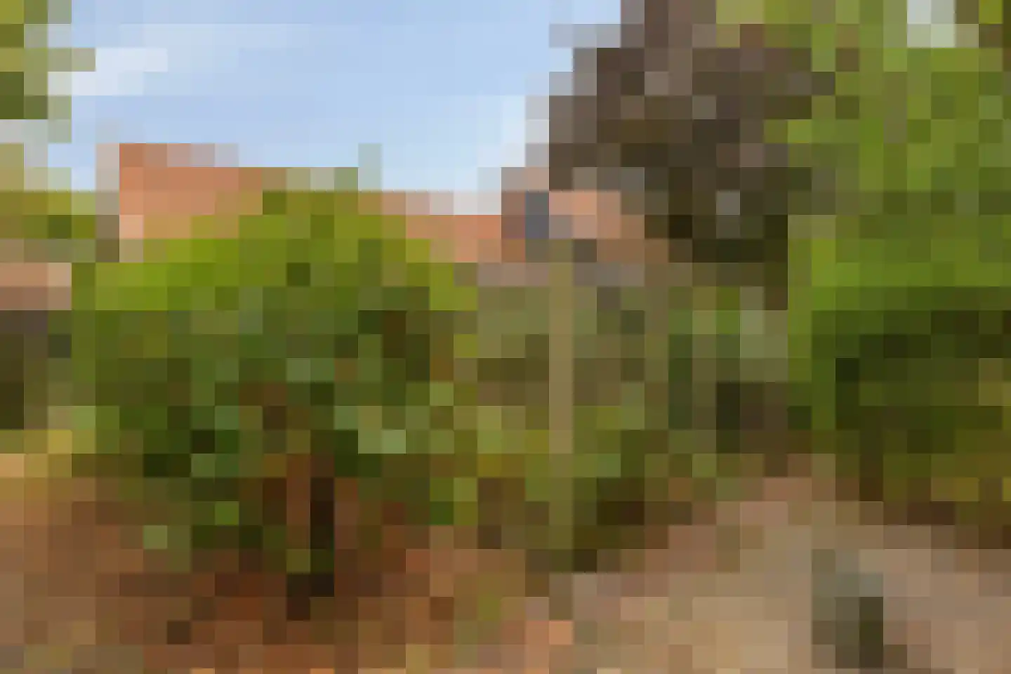 Heinkenszandseweg 45 Heinkenszand thumbnail 38