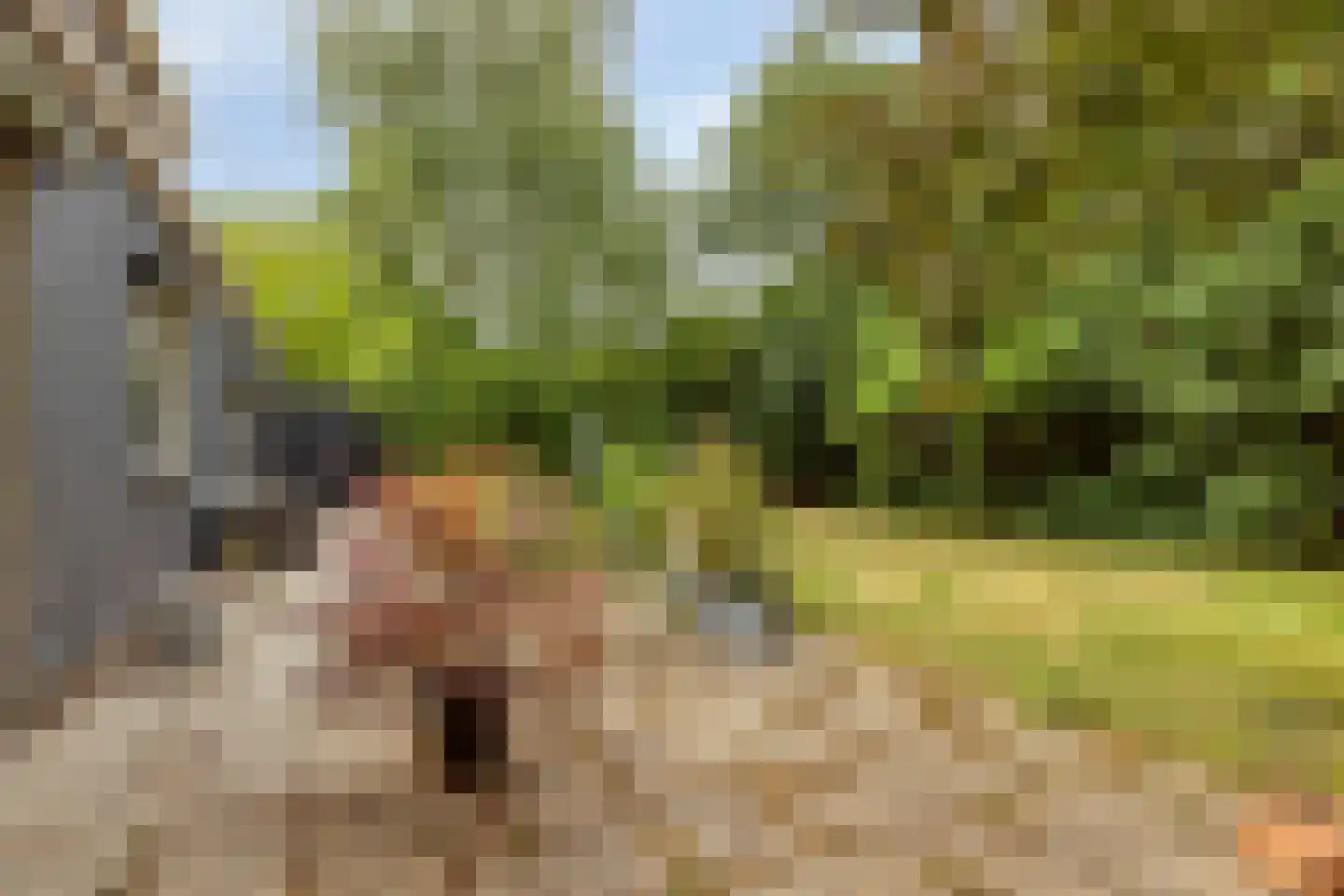 Heinkenszandseweg 45 Heinkenszand thumbnail 39