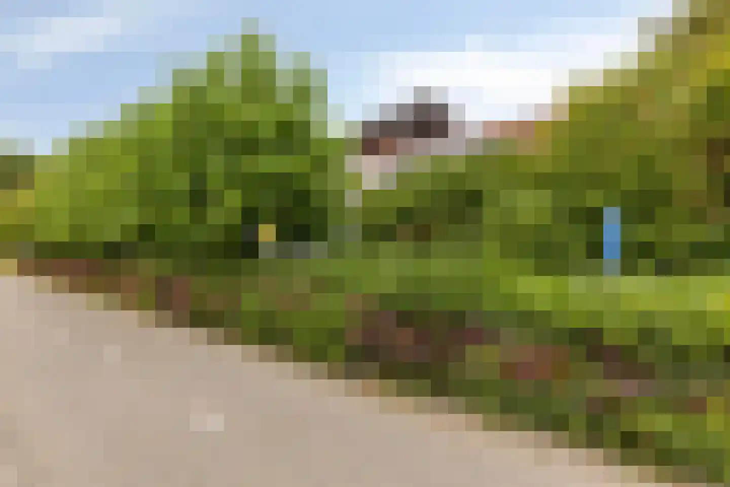 Heinkenszandseweg 45 Heinkenszand thumbnail 40
