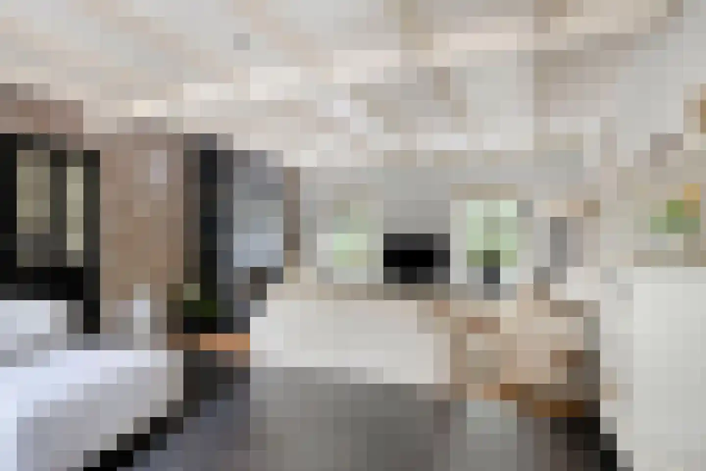Heinkenszandseweg 45 Heinkenszand thumbnail 7