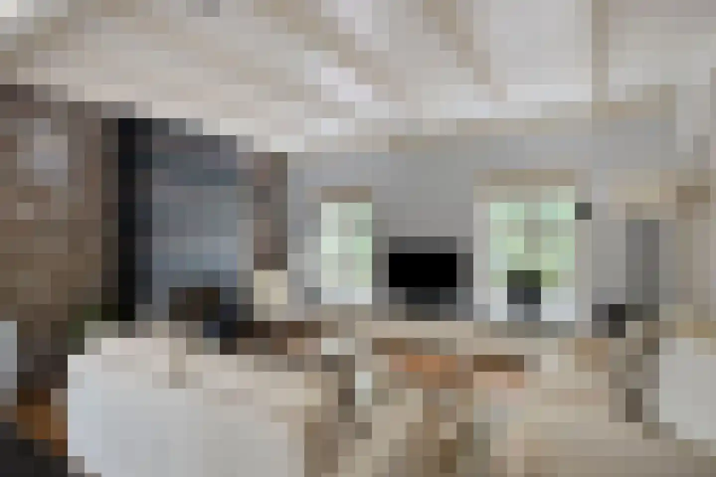 Heinkenszandseweg 45 Heinkenszand thumbnail 8