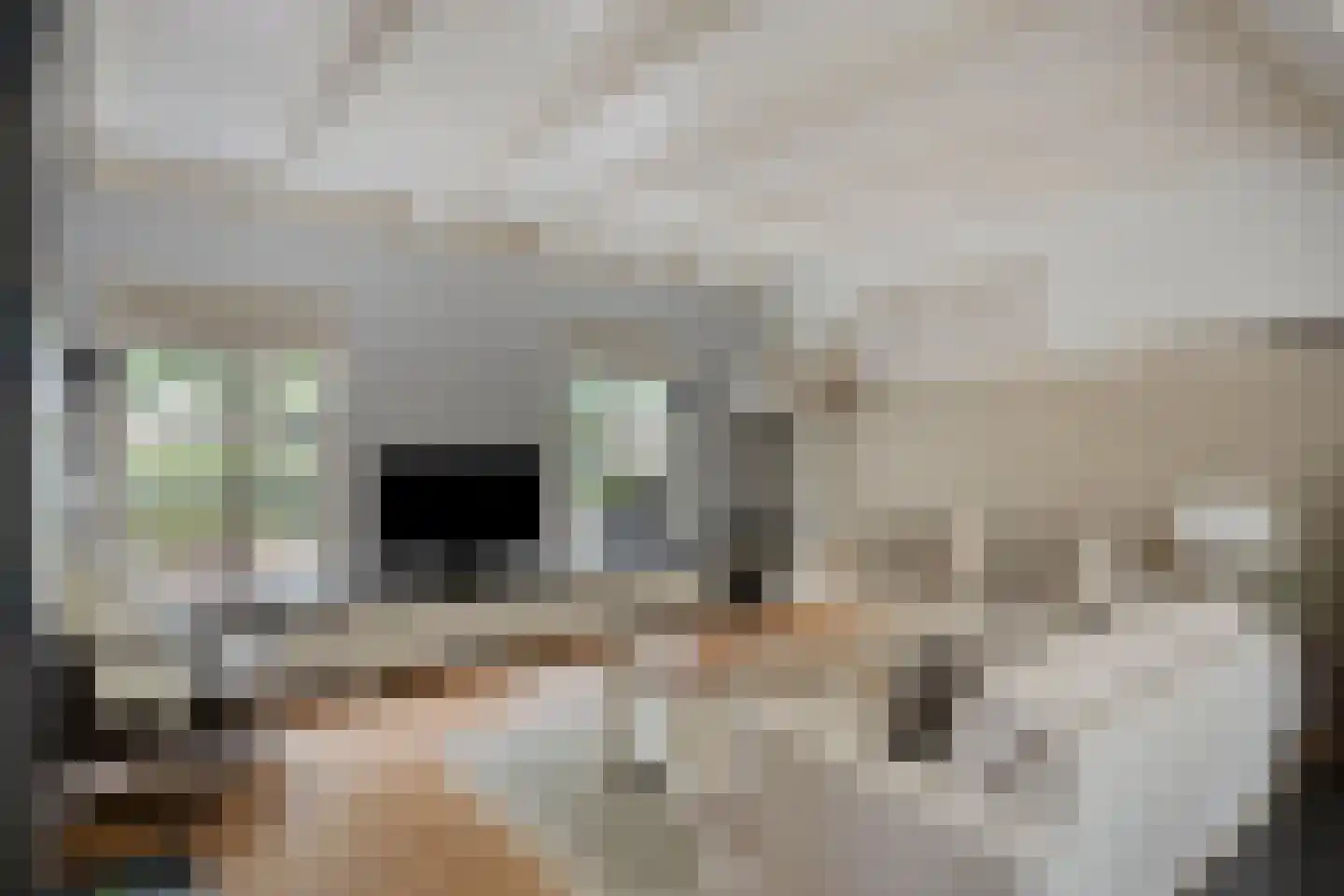 Heinkenszandseweg 45 Heinkenszand thumbnail 9