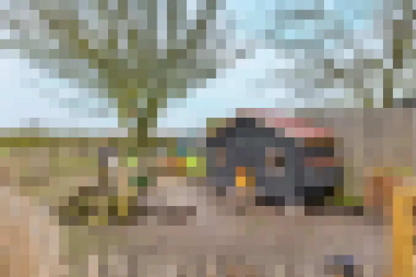 Heinkenszandseweg 72 Heinkenszand thumbnail 34