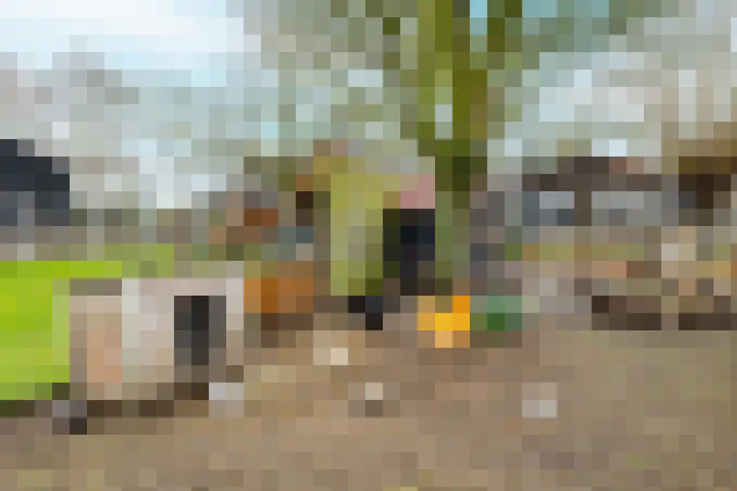 Heinkenszandseweg 72 Heinkenszand thumbnail 35