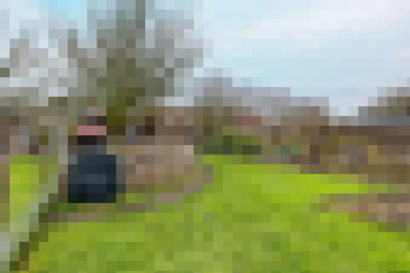 Heinkenszandseweg 72 Heinkenszand thumbnail 36