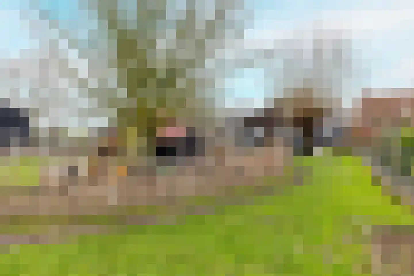 Heinkenszandseweg 72 Heinkenszand thumbnail 37
