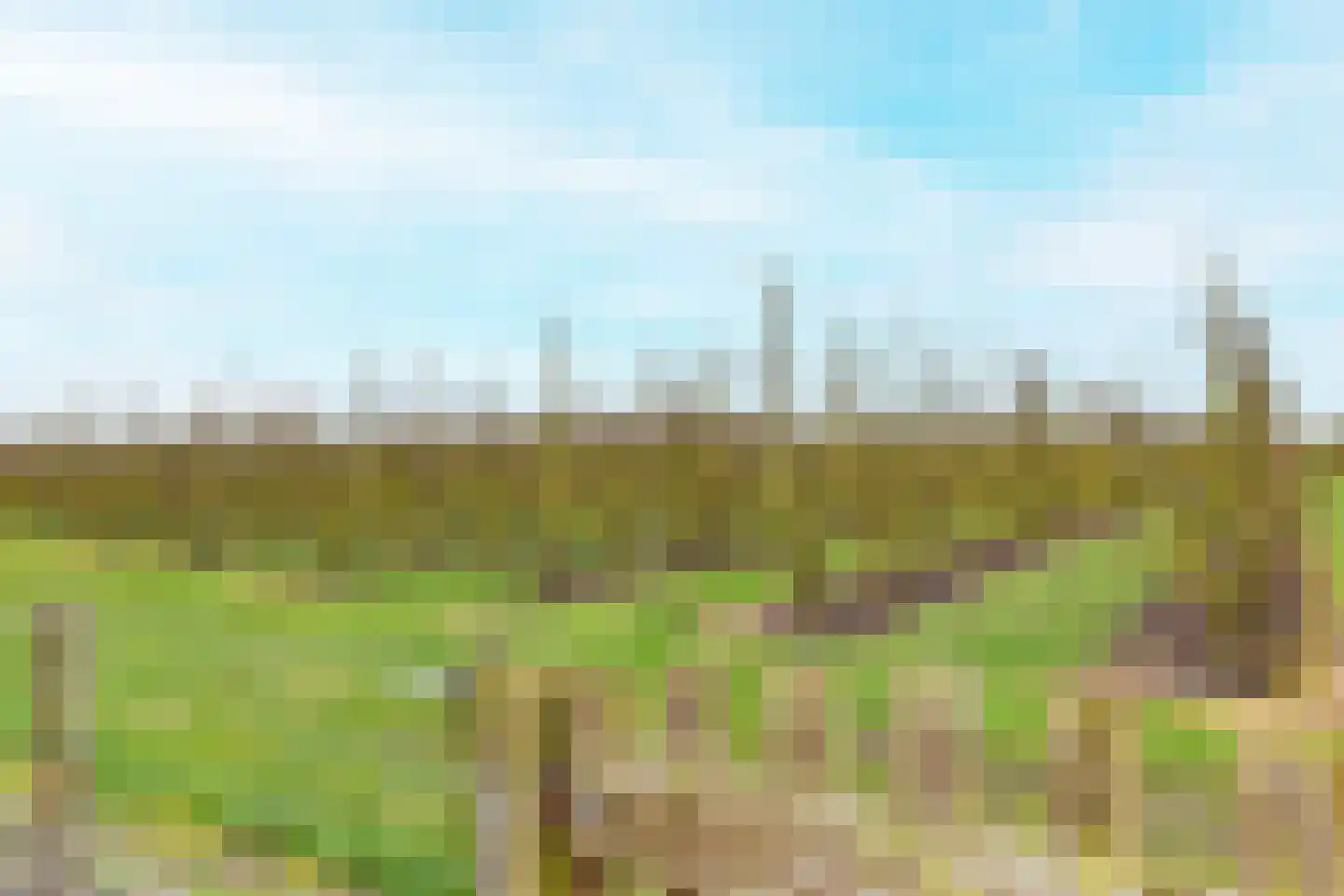 Heinkenszandseweg 72 Heinkenszand thumbnail 38