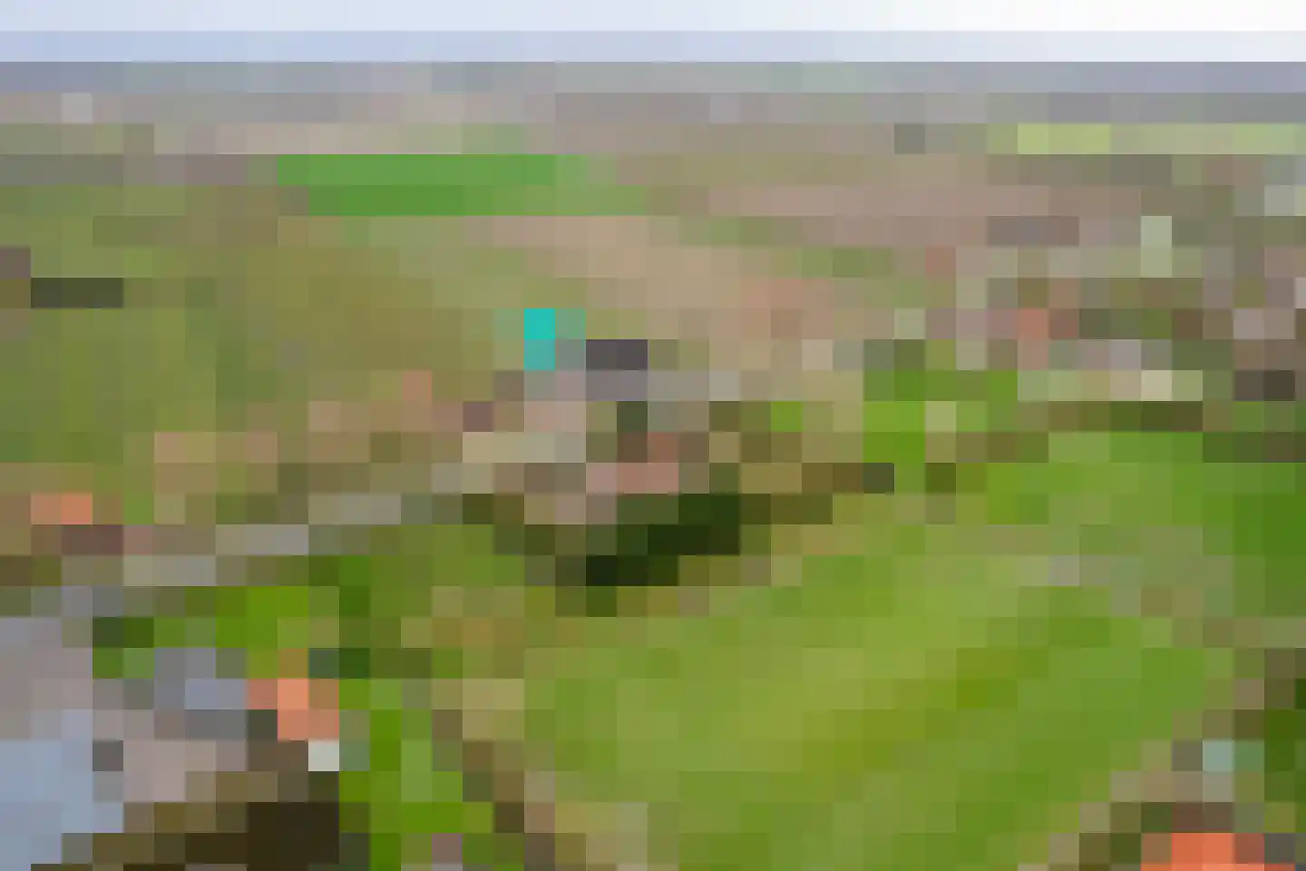 Heinkenszandseweg 72 Heinkenszand thumbnail 41