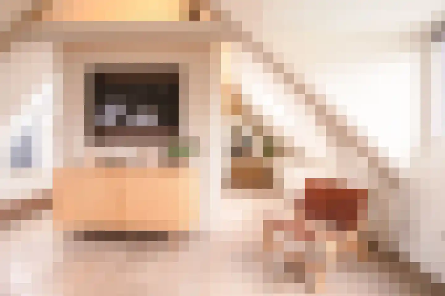 Heinkuitenstraat 24 Abcoude thumbnail 25