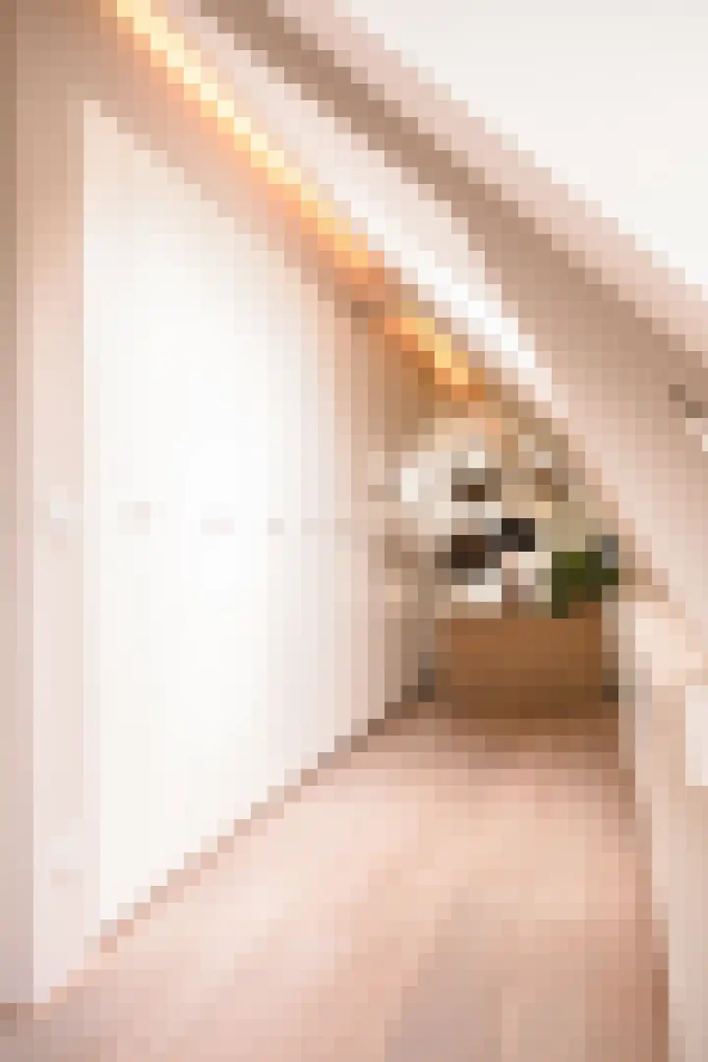 Heinkuitenstraat 24 Abcoude thumbnail 26