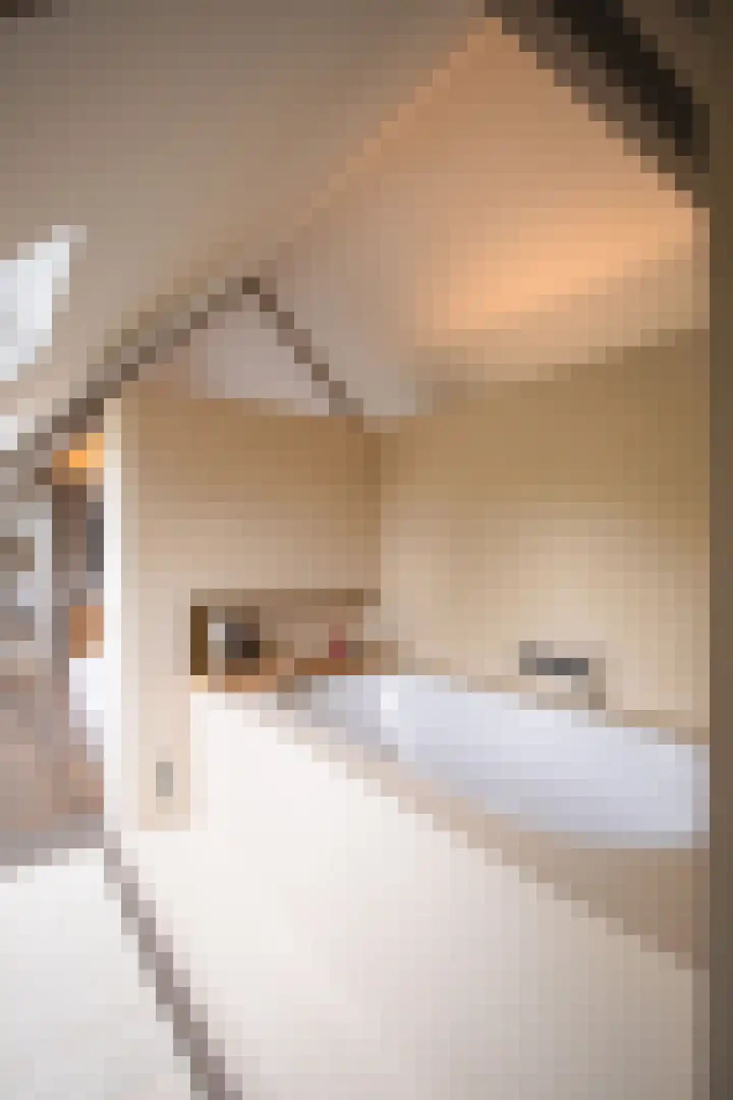 Heinkuitenstraat 24 Abcoude thumbnail 27