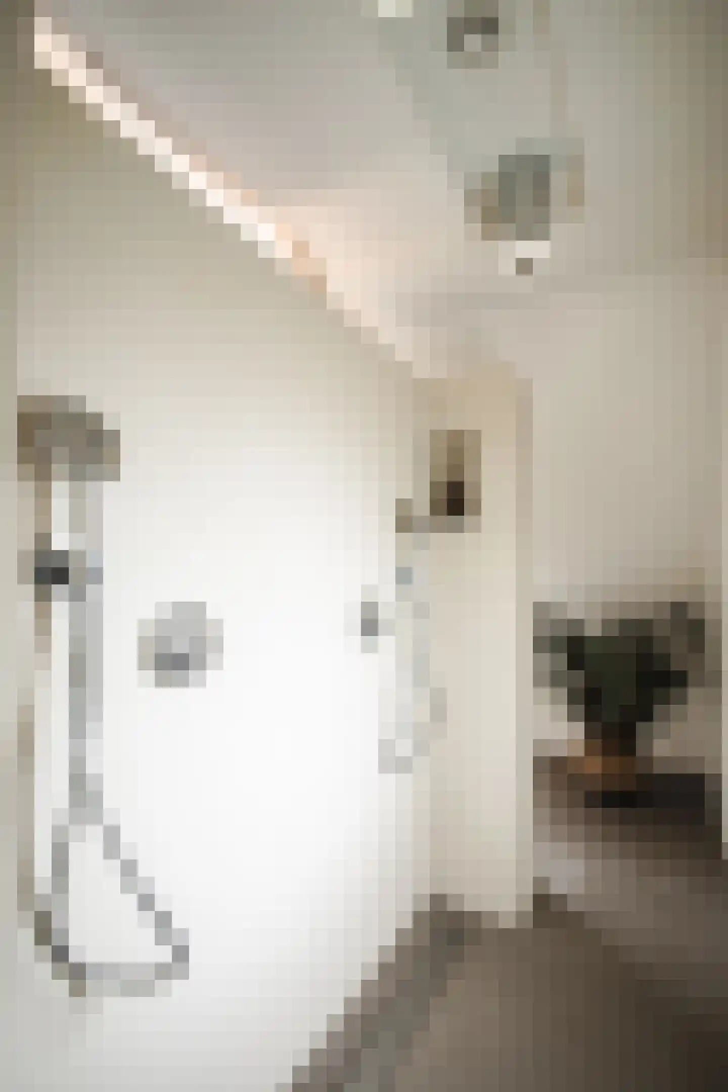 Heinkuitenstraat 24 Abcoude thumbnail 28