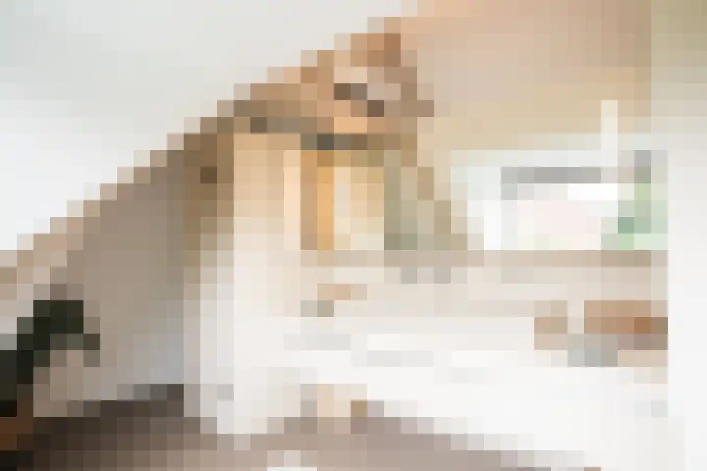 Heinkuitenstraat 24 Abcoude thumbnail 29