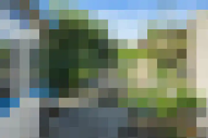 Heinoord 10 Breda thumbnail 24