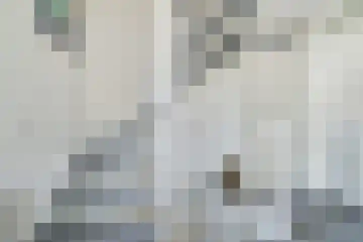 Heinoord 10 Breda thumbnail 30