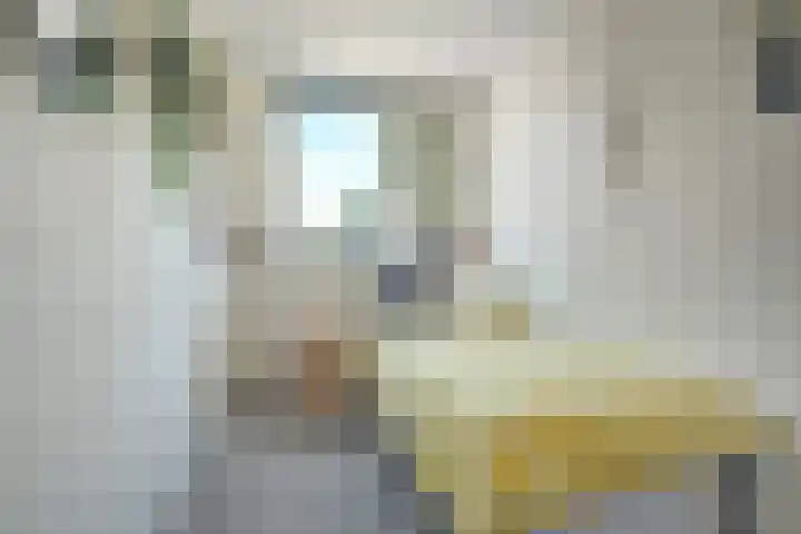 Heinoord 10 Breda thumbnail 35