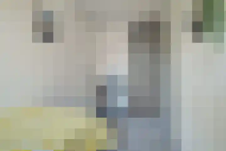 Heinoord 10 Breda thumbnail 36