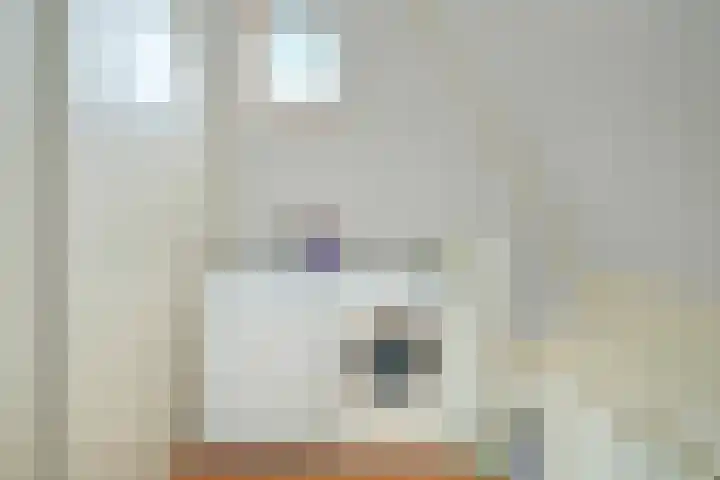 Heinoord 10 Breda thumbnail 41