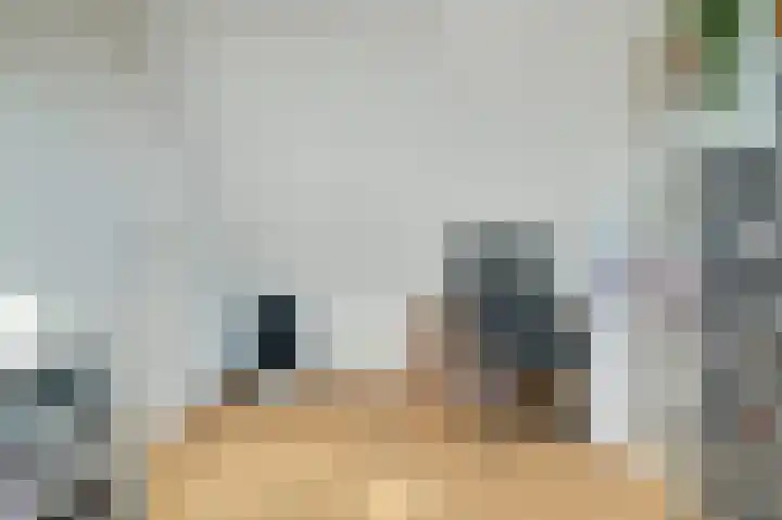 Heinoord 10 Breda thumbnail 45