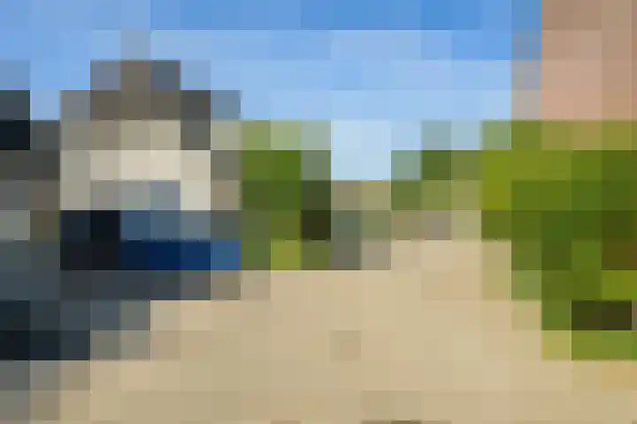 Heinoord 10 Breda thumbnail 46