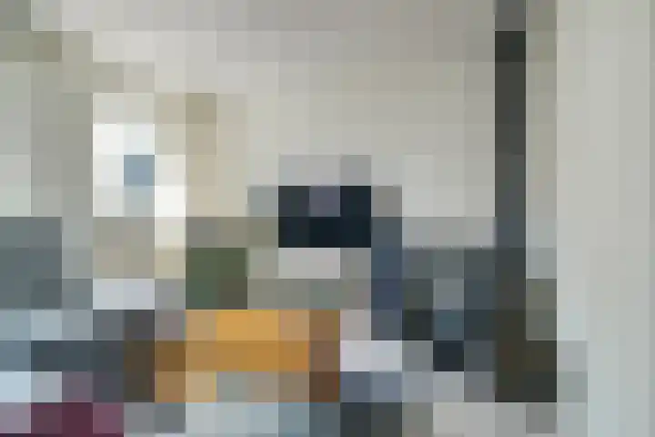 Heinoord 10 Breda thumbnail 8