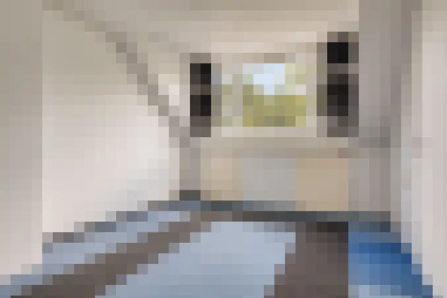 Heinoord 18 Breda thumbnail 19