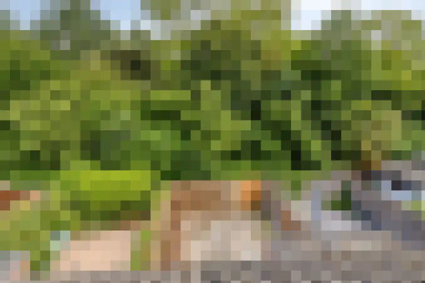 Heinoord 18 Breda thumbnail 21