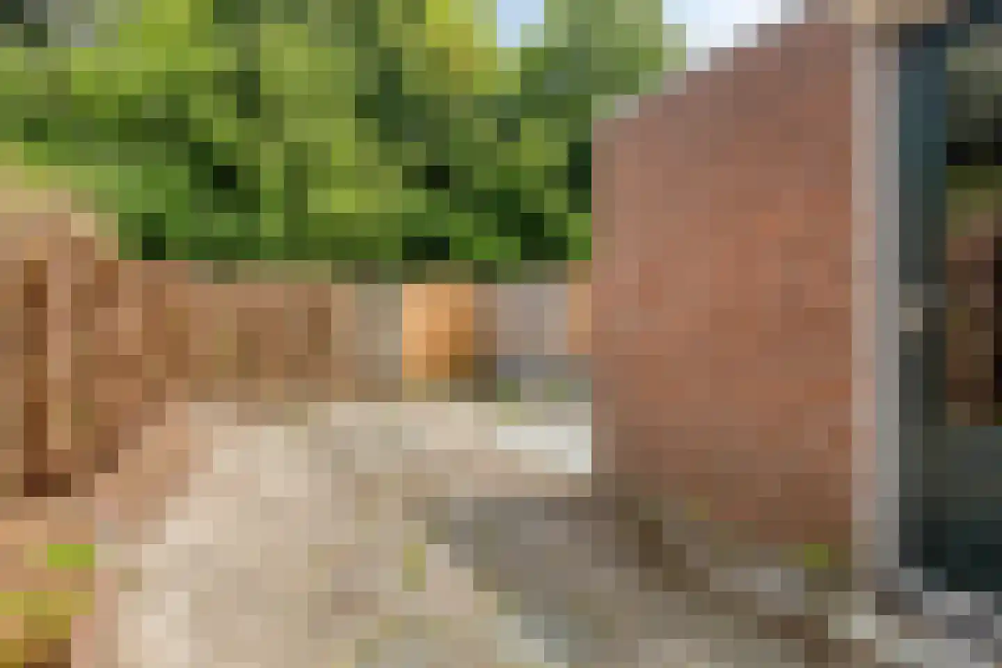 Heinoord 18 Breda thumbnail 22