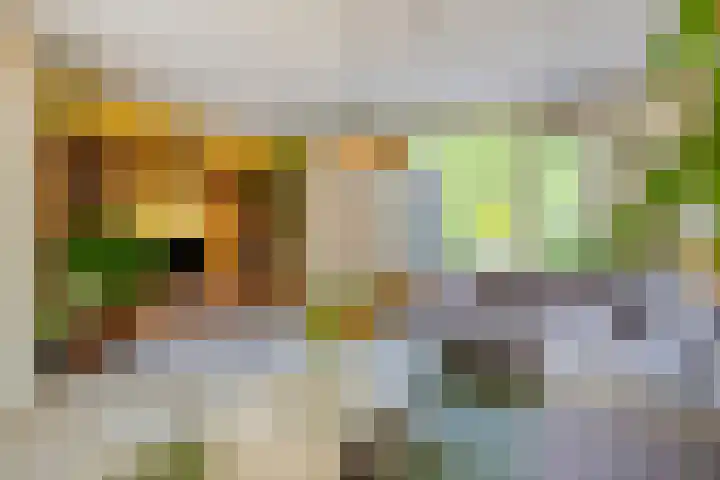Heinoord 20 Breda thumbnail 13