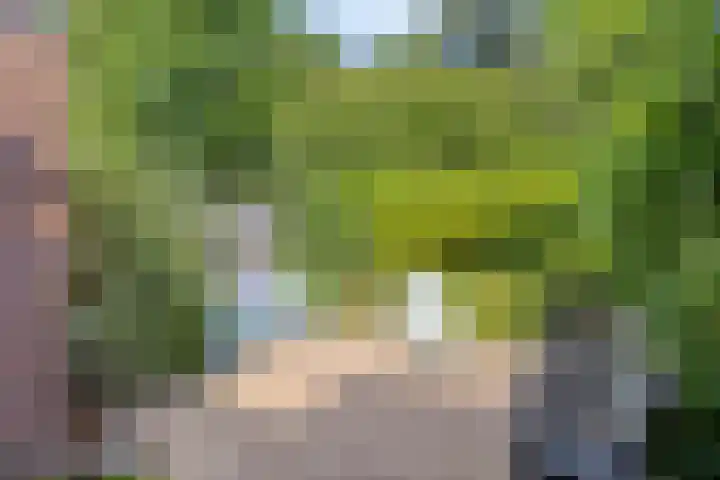 Heinoord 20 Breda thumbnail 31