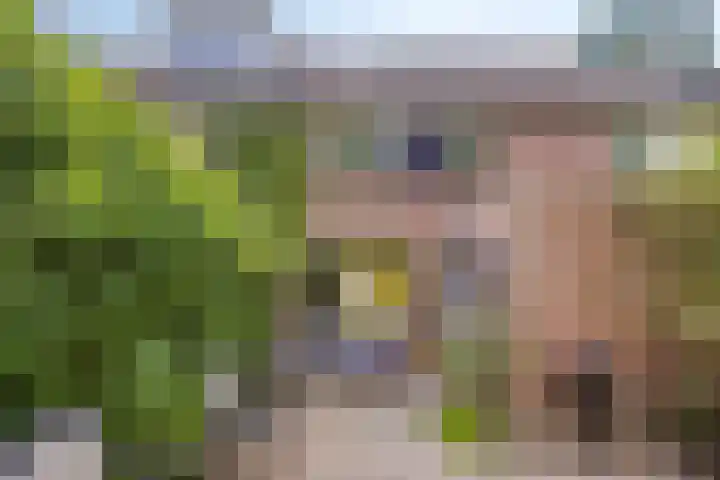 Heinoord 20 Breda thumbnail 36
