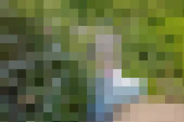 Heinoord 20 Breda thumbnail 37