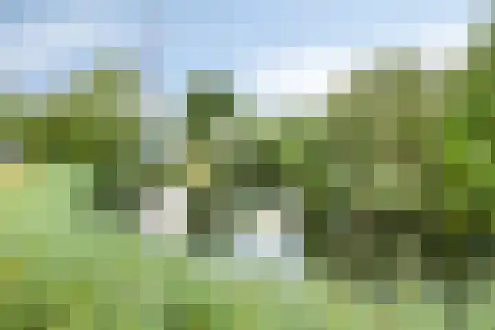 Heinoord 20 Breda thumbnail 38
