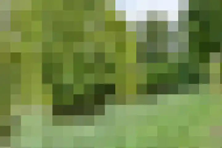 Heinoord 20 Breda thumbnail 39