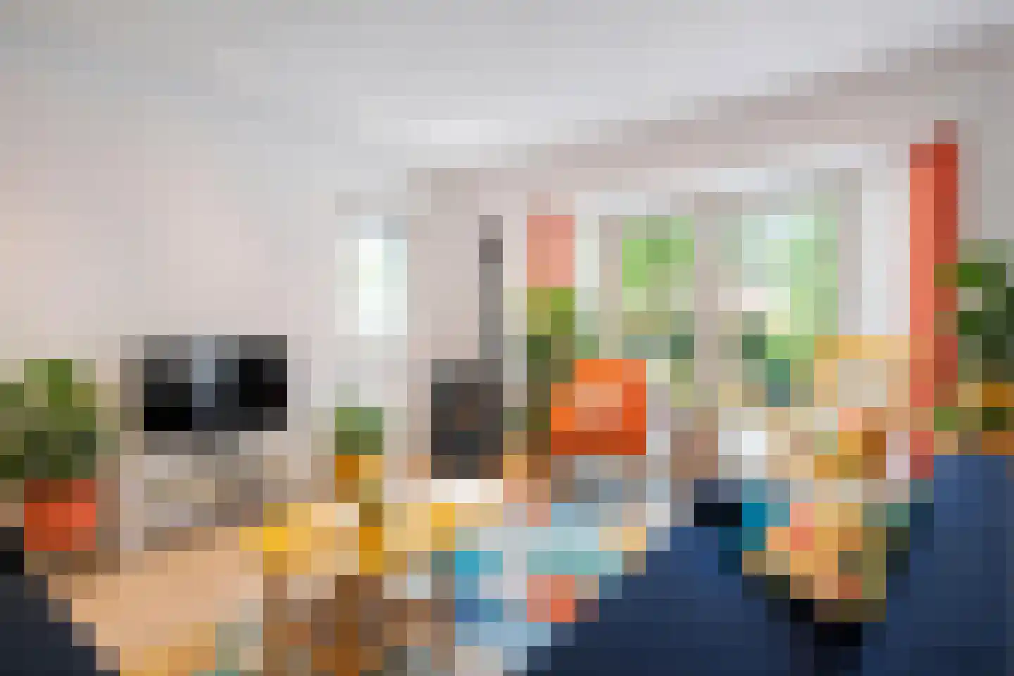 Heinoseweg 33 Dalfsen thumbnail 11