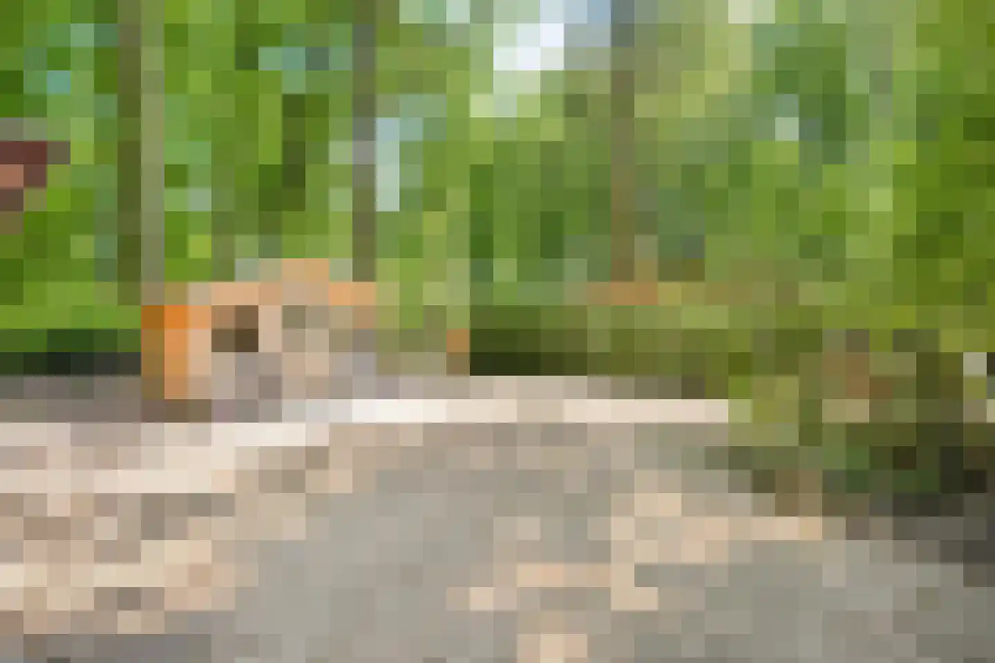 Heinoseweg 33 Dalfsen thumbnail 16