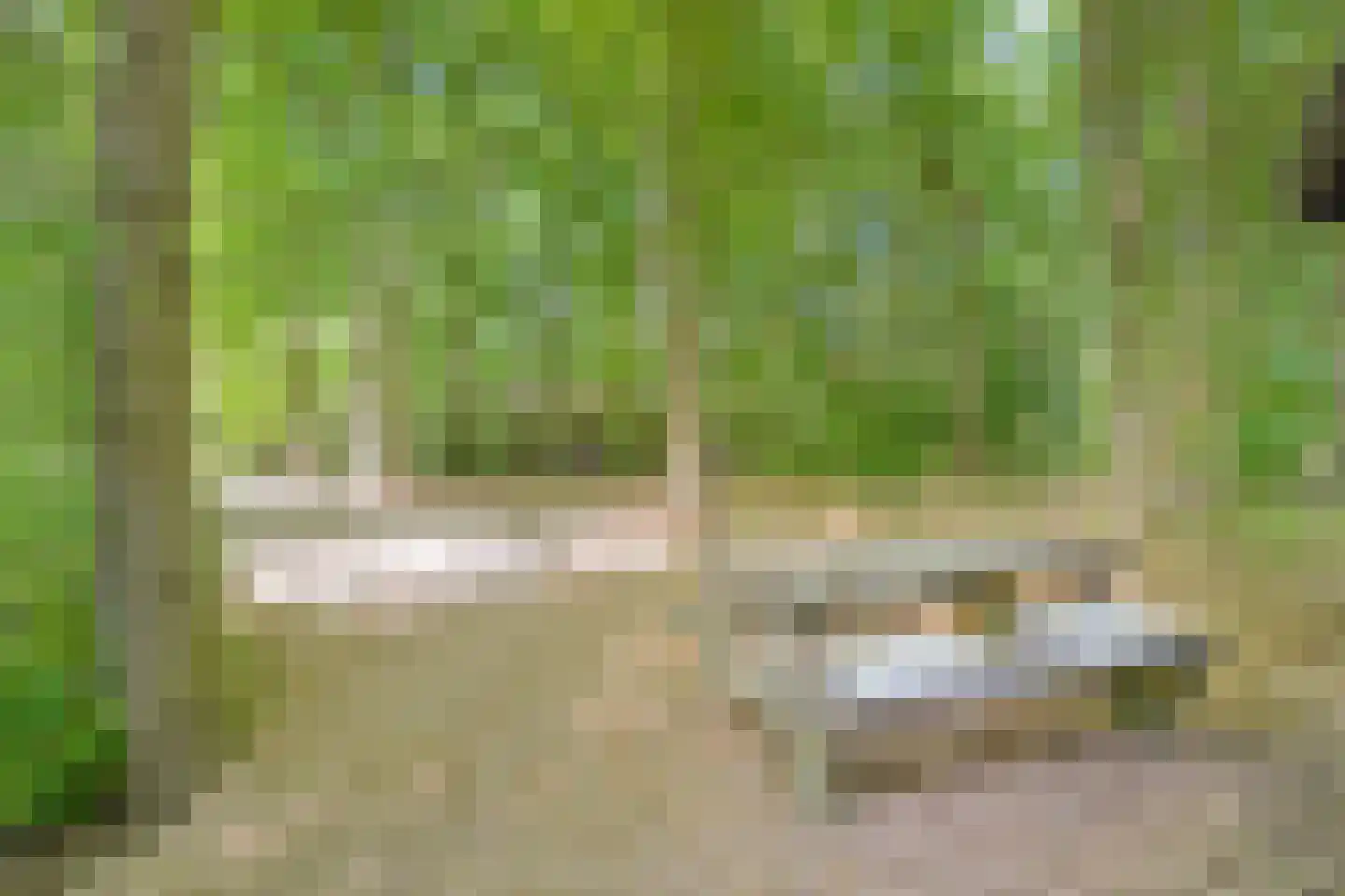 Heinoseweg 33 Dalfsen thumbnail 18