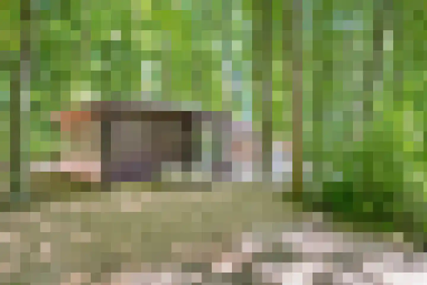 Heinoseweg 33 Dalfsen thumbnail 19