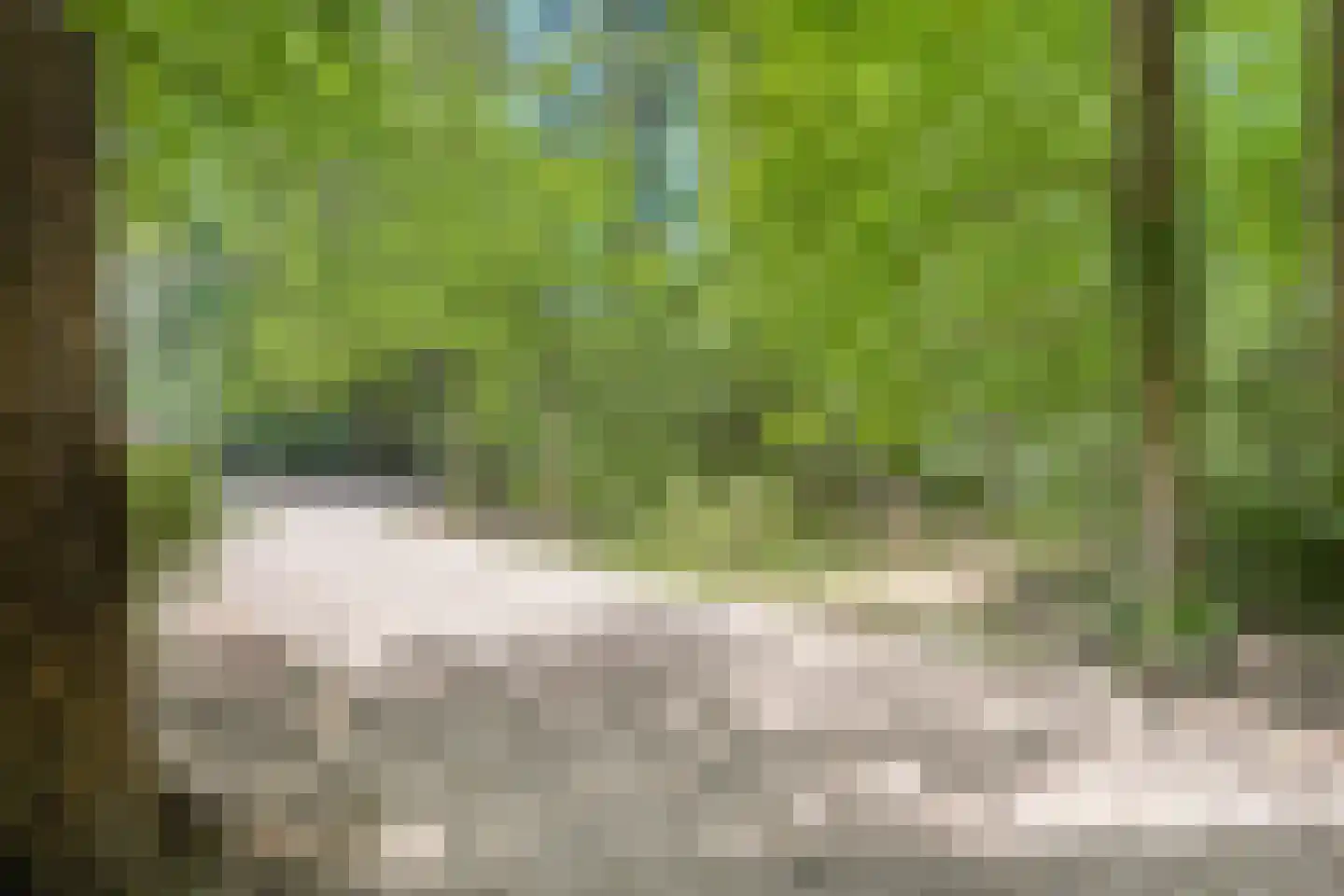 Heinoseweg 33 Dalfsen thumbnail 19