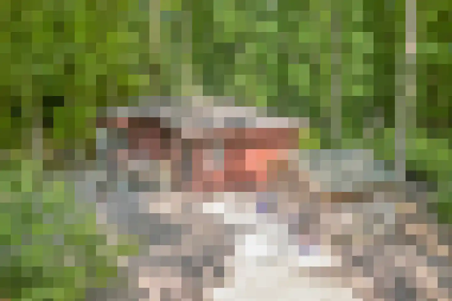 Heinoseweg 33 Dalfsen thumbnail 22